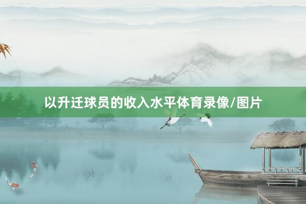 以升迁球员的收入水平体育录像/图片
