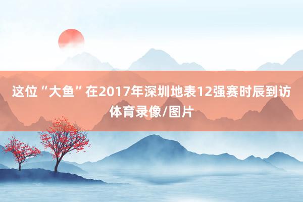 这位“大鱼”在2017年深圳地表12强赛时辰到访体育录像/图片