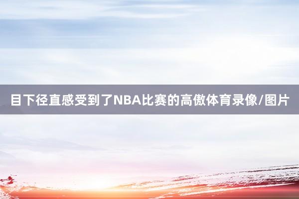目下径直感受到了NBA比赛的高傲体育录像/图片
