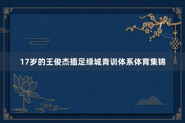 17岁的王俊杰插足绿城青训体系体育集锦