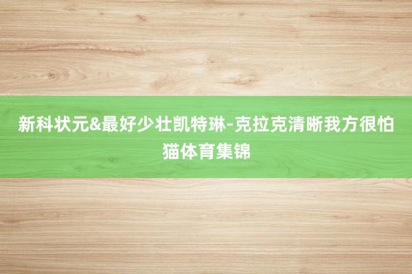 新科状元&最好少壮凯特琳-克拉克清晰我方很怕猫体育集锦