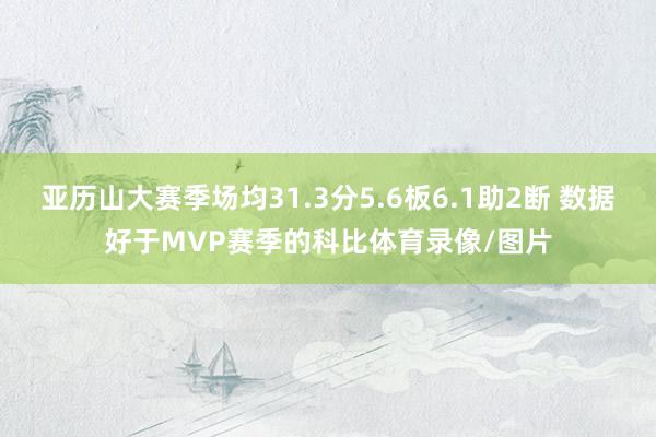 亚历山大赛季场均31.3分5.6板6.1助2断 数据好于MVP赛季的科比体育录像/图片