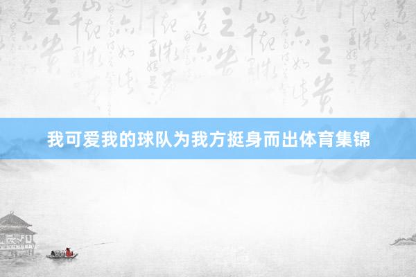 我可爱我的球队为我方挺身而出体育集锦