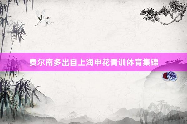 费尔南多出自上海申花青训体育集锦
