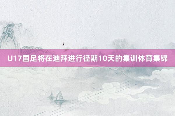 U17国足将在迪拜进行径期10天的集训体育集锦
