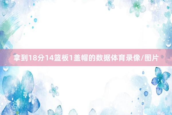 拿到18分14篮板1盖帽的数据体育录像/图片