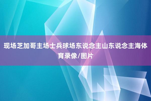 现场芝加哥主场士兵球场东说念主山东说念主海体育录像/图片