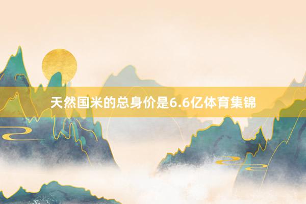 天然国米的总身价是6.6亿体育集锦