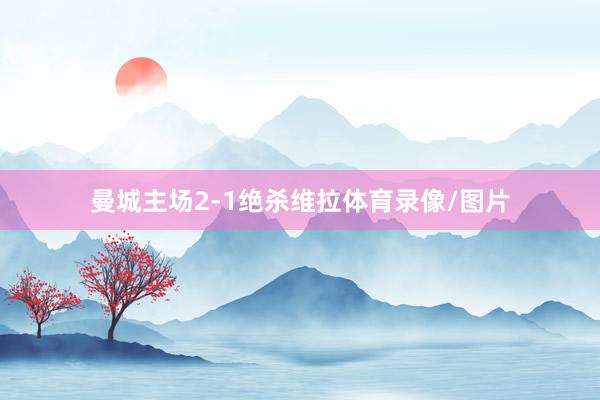 曼城主场2-1绝杀维拉体育录像/图片