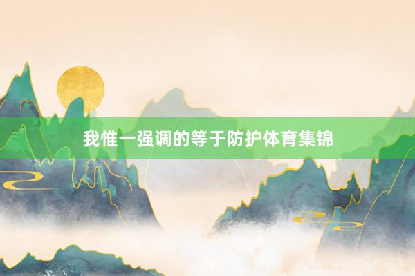 我惟一强调的等于防护体育集锦