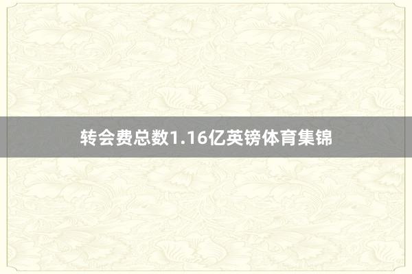 转会费总数1.16亿英镑体育集锦