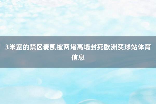 3米宽的禁区奏凯被两堵高墙封死欧洲买球站体育信息