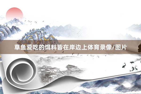 草鱼爱吃的饵料皆在岸边上体育录像/图片