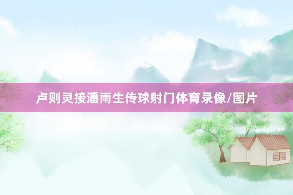卢则灵接潘雨生传球射门体育录像/图片