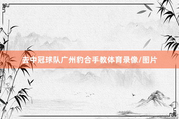去中冠球队广州豹合手教体育录像/图片
