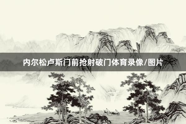 内尔松卢斯门前抢射破门体育录像/图片