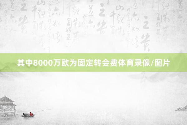 其中8000万欧为固定转会费体育录像/图片
